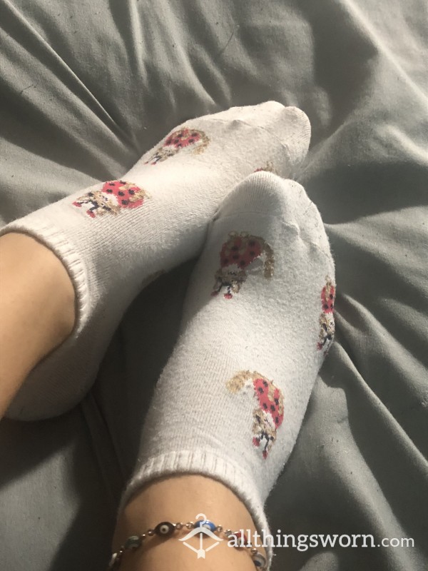 Used Cute Lady Bug White Socks