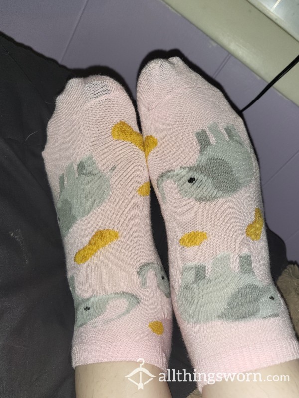Used Elephant Socks