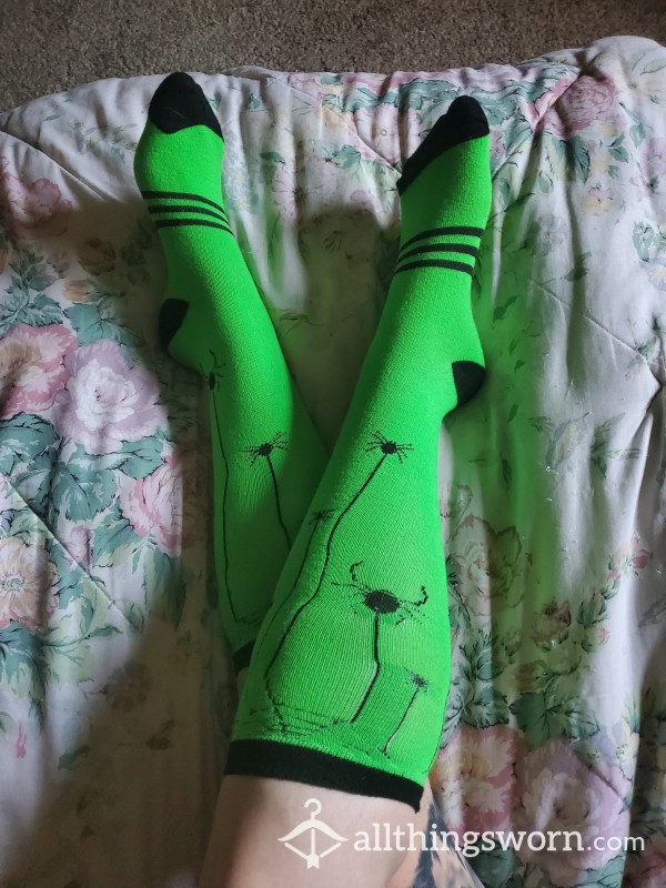 Used Green And Black Spider Socks