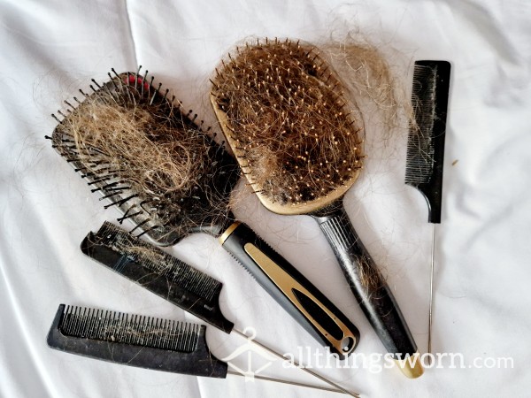 Used Hairbrush And Combs Bundle