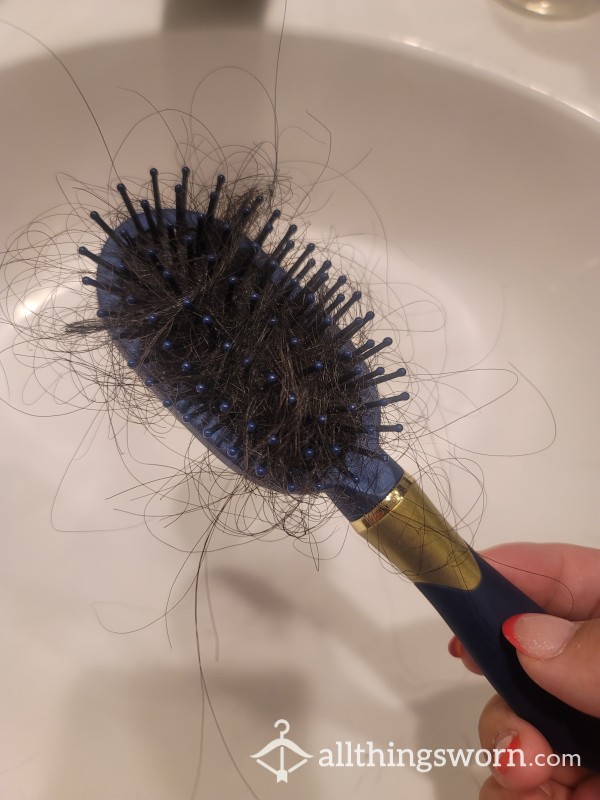 Used Hairbrush Full Of Thick Asian Hair