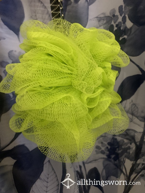 Used Loofah Looking For New Home