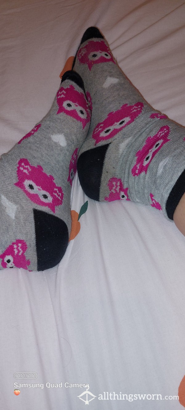 Used Owl Socks 24 Hour Wear 🧦