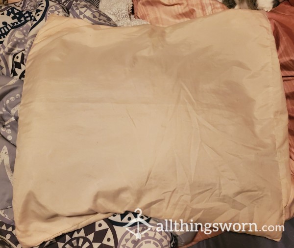Used Pussy Pillowcase