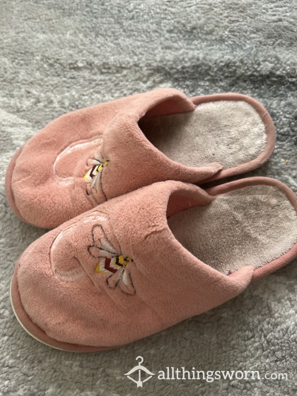 Used Slippers