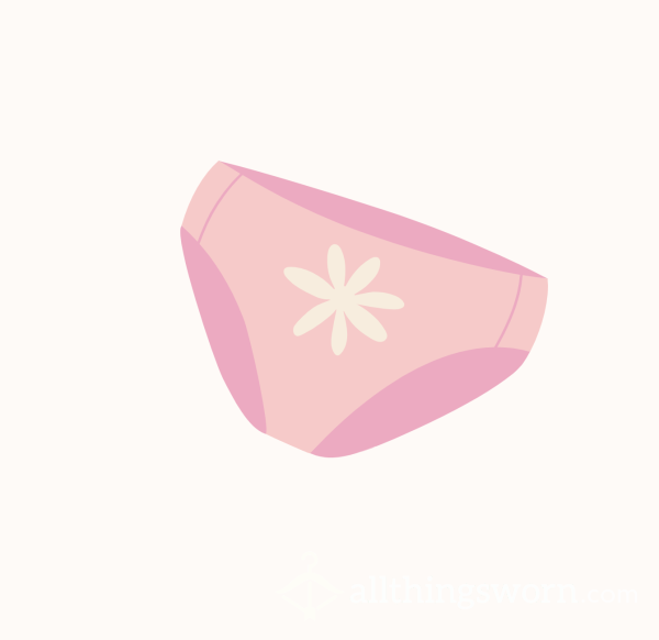 Used Underwear Pack (4 Panties)  💕