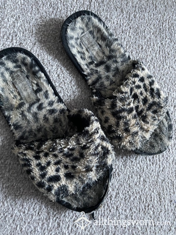 Very Old And Worn Slippers