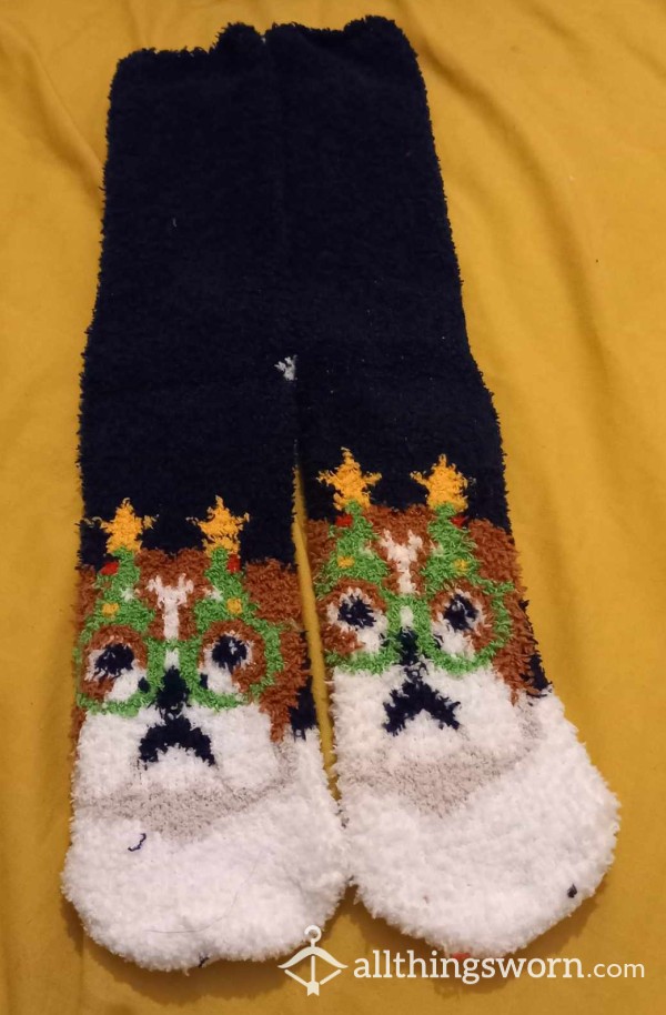 Very Used Cosy Christmas Dog Socks