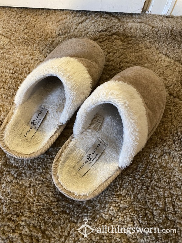 Very Used Slippers, Size 8