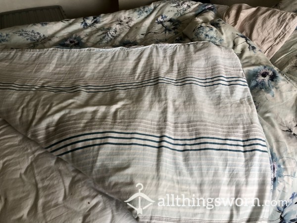 Very Well Used 300 Ct Count Bed Set