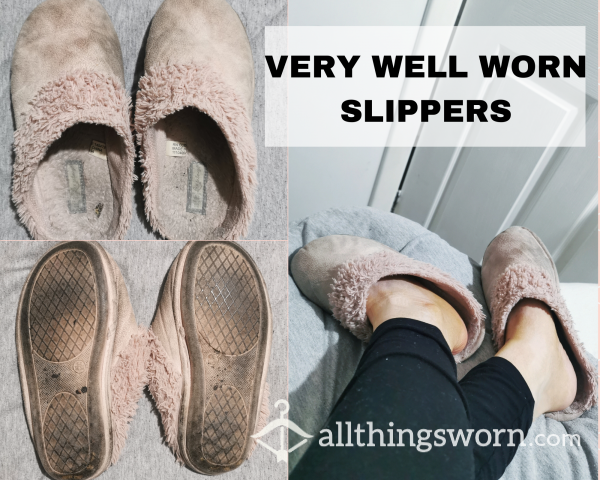 VERY WELL WORN SLIPPERS