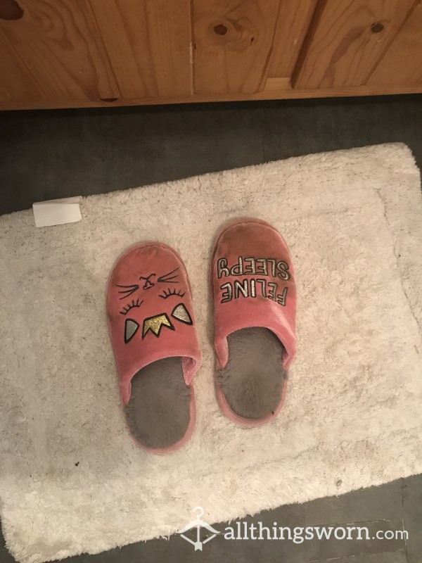 Very Well Worn Slippers, Stains All Over
