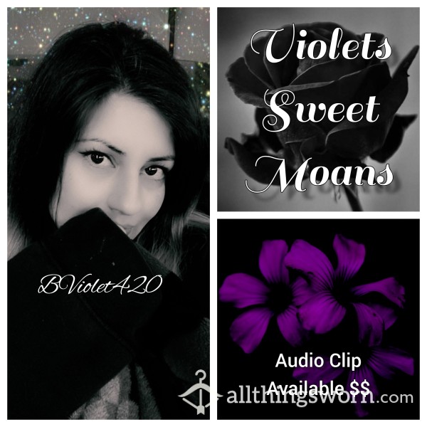 Violets Moans, Soft & Sweet - Audio Clip 💦