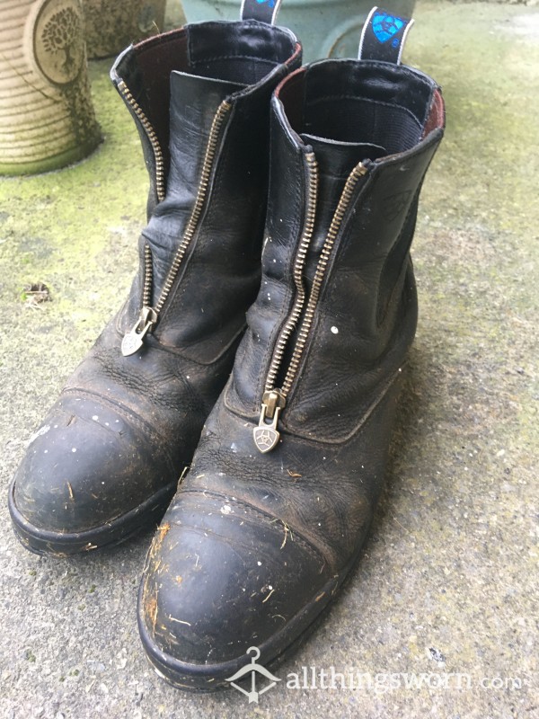 Well Loved Horse Riding Boots