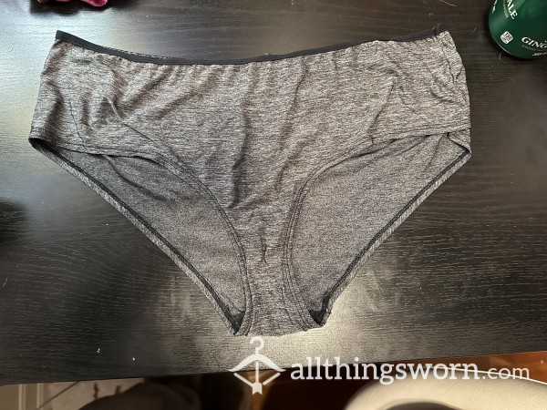 Well Worn And Old Grey Silk La Senza Full Coverage Panty