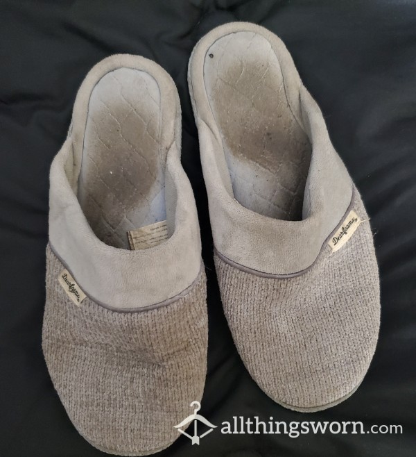 Well Worn Blue Slippers