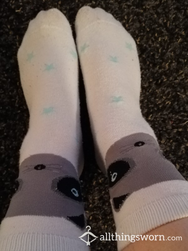 Well Worn Cute Raccoon Socks