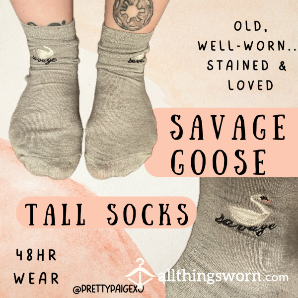 Well-worn Grey Socks 👣 OLD, Stained & Stinky!! 🥵 Savage Goose 🪿 48hr Wear 🩷