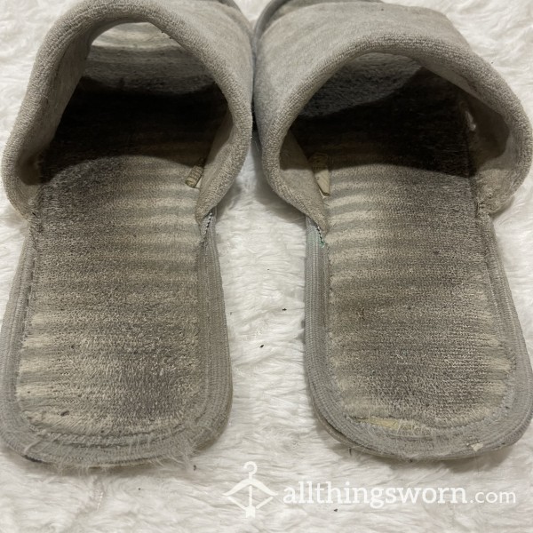 Well Worn House Shoes
