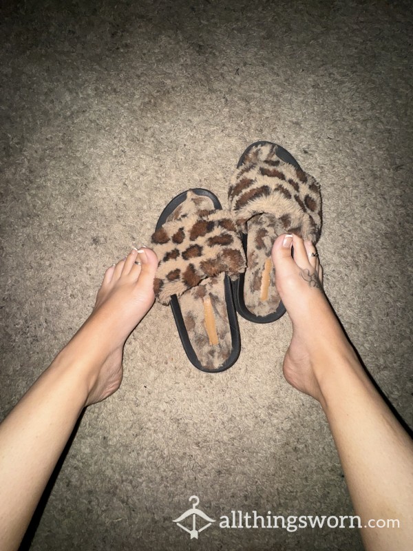 WELL Worn Leopard Slippers