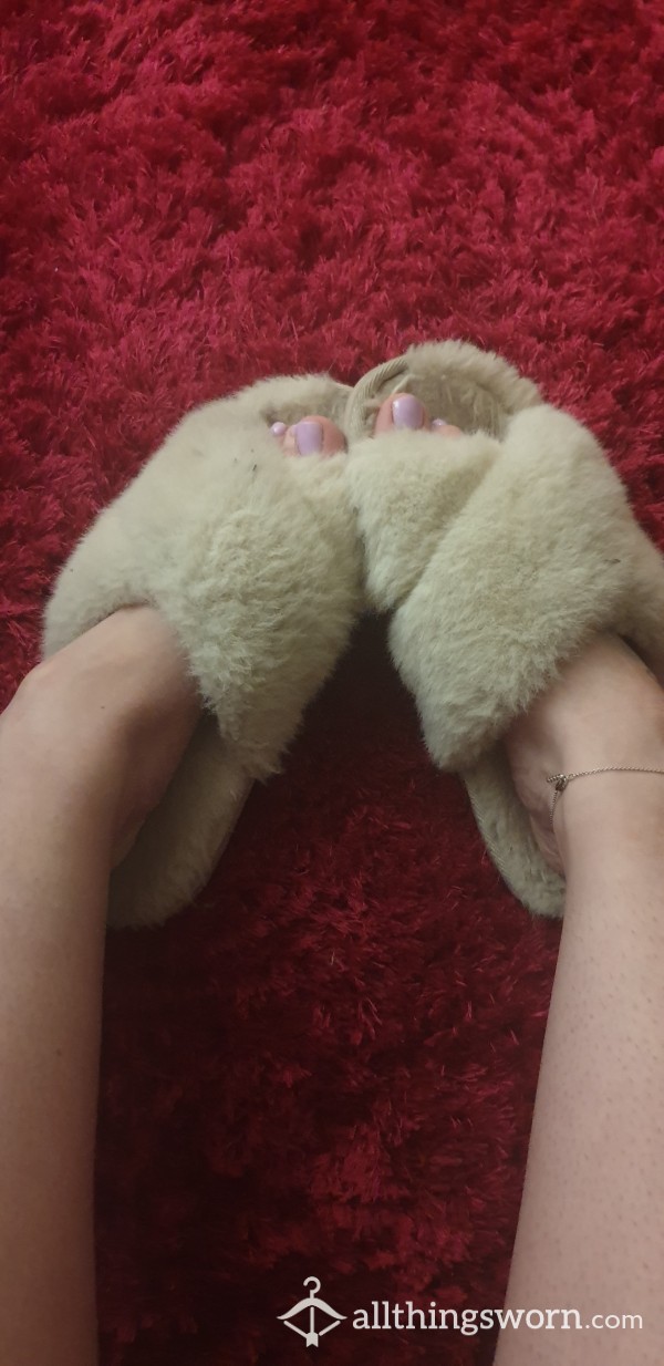 Well-worn Old Fuzzy Slippers