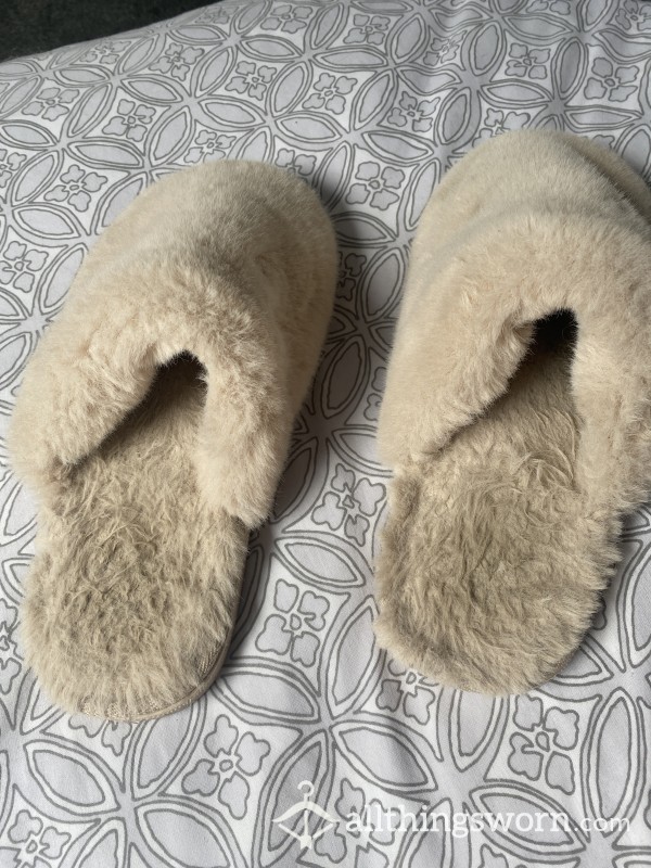 Well Worn Slippers😍