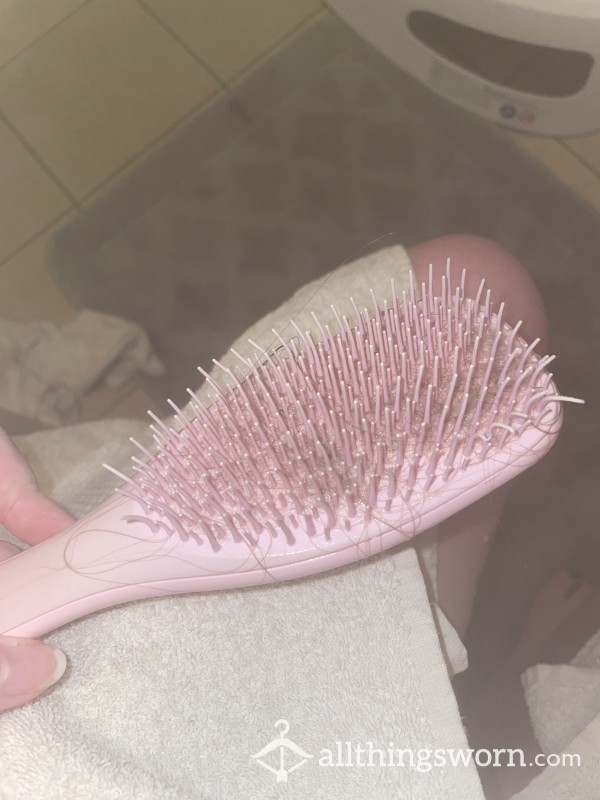 Wet Hair From Hairbrush Used In Shower