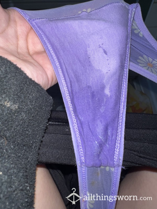 Wet Kitty VS Purple Thong 😻💦