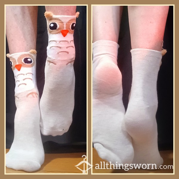 Whooooo's Socks! 🦉