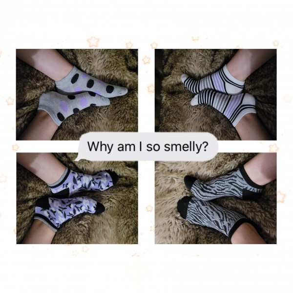 'Why Am I So Smelly?' Series