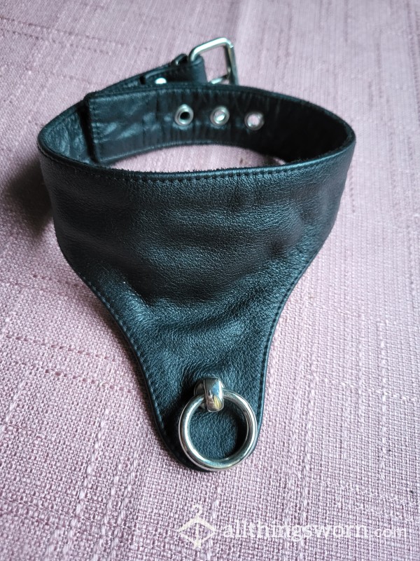 Wonderful Handmade Leather Collar Size S