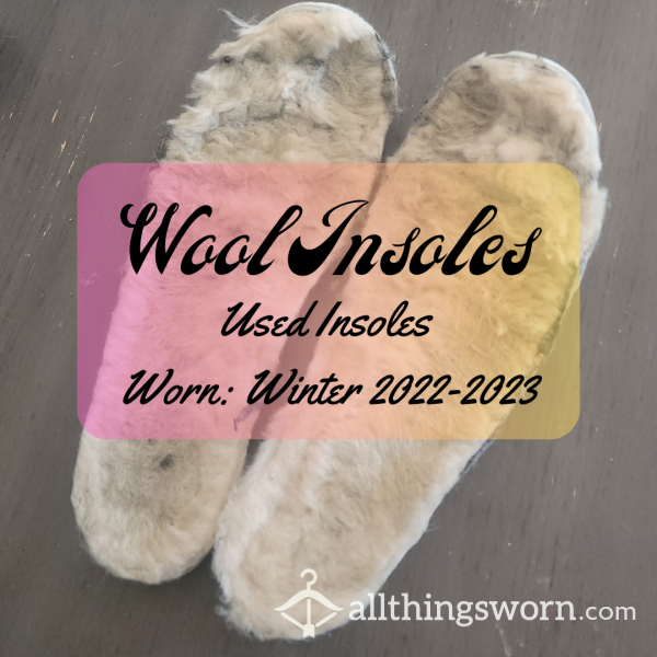 Wool Insoles: Last Winter's Insoles Size 11