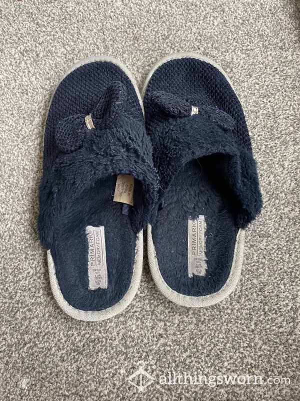 Worn Blue House Slippers