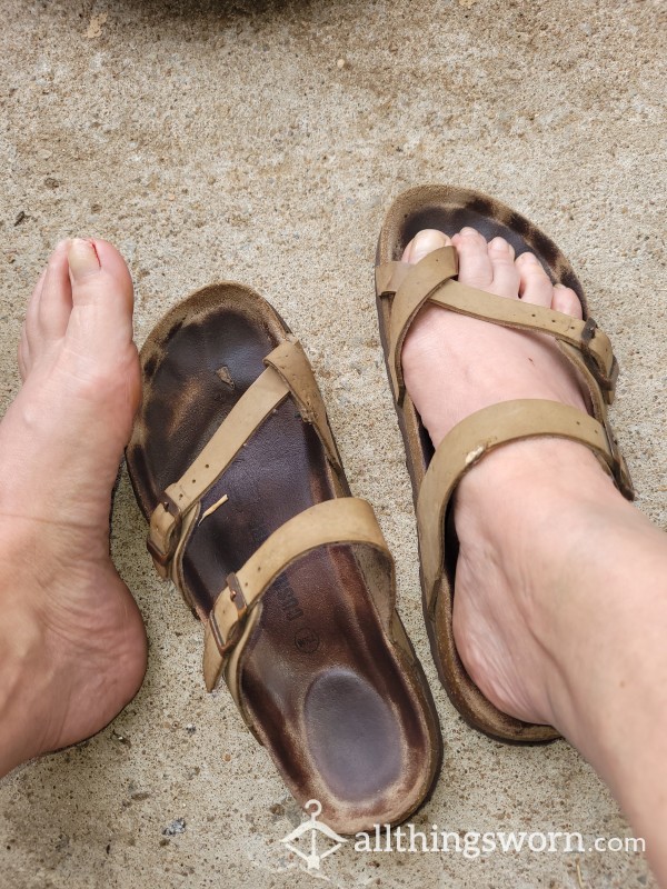 Worn, Chewed, Repaired Sandals