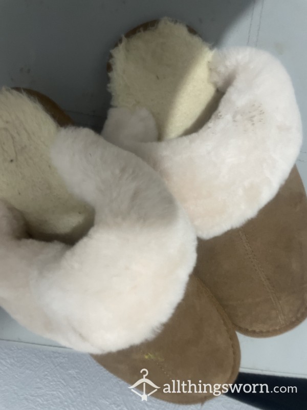 Worn Slippers (used Outside And In)