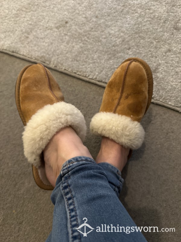 Worn UGG Slippers For 6 Months