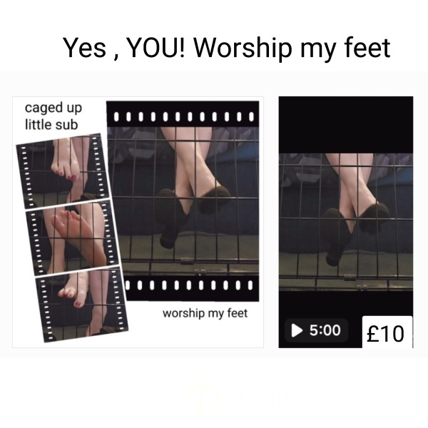 Yes, YOU! Worship My Feet.....