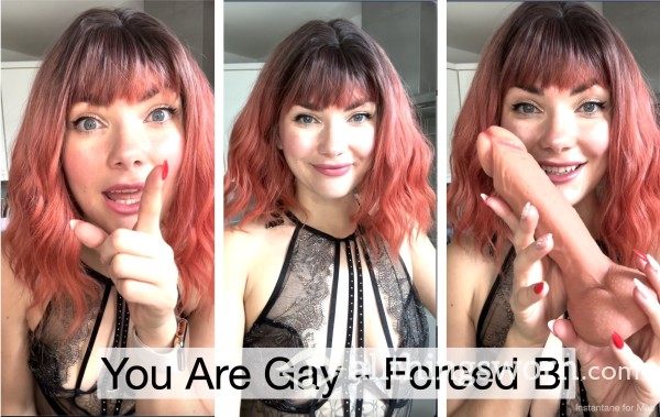 You Are Gay- Imposed Bi