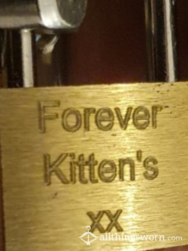 Forever_Kittens